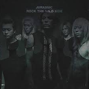 ROCK THE WILD SIDE