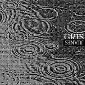 Gris