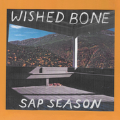 Sap Season