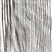 fruiting stump
