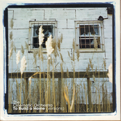 The Cinematic Orchestra – To Build A Home (Versions)