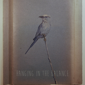 Hanging In the Balance