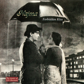 Forbidden Kiss: The Music Of S.D. Burman