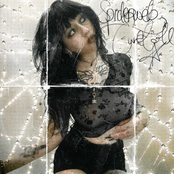 Spider Web