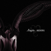 REBORN