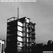 The Delicate Art Of Destruction