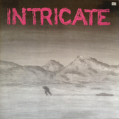 Intricate