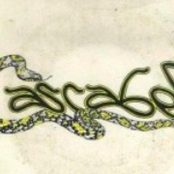 Cascabel