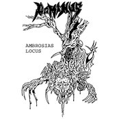 Ambrosias locus