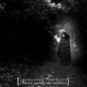 Archaenae Perfectii: L'arche Arcane des Parfaits