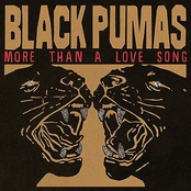 More Than a Love Song