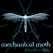 Fallen into you