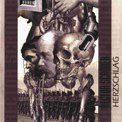 herzschlag