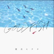 Goldfish