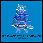 Liquid Bodies