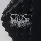 Animals of the concrete forest