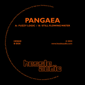 Fuzzy Logic / Still Flowing Water