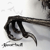 Stormraven