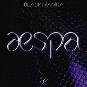 Black Mamba cover