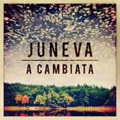 A Cambiata