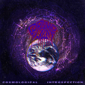 Cosmological Introspection