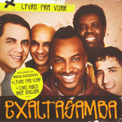 Livre Pra Voar