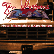 Gin Blossoms — New Miserable Experience