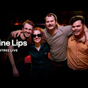 Wine Lips – Wine Lips on Audiotree Live