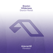 Wilderness (Braxton Revisit)