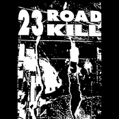 23 Roadkill