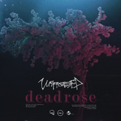 Unprocessed – Deadrose