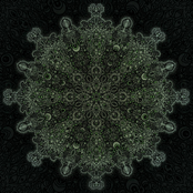 Acid Cattle EP