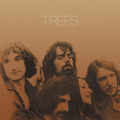 The Trees
