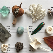 Flotsam Jetsam