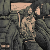Backseat cover