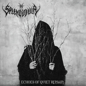 Echoes of Quiet Remain