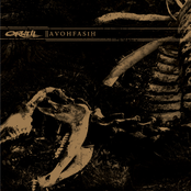 AVOHFASIH