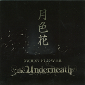 Moon Flower