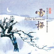 百花魁~綠萼梅