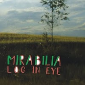 Log In Eye