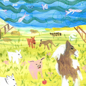 Lots of Hands – into a pretty room