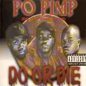 Po Pimp