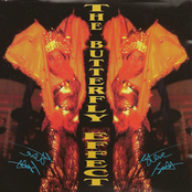 The Butterfly Effect
