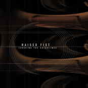 Raised Fist – Ignoring the Guidelines
