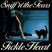 Fickle Heart