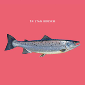 Tristan Brusch – Fisch