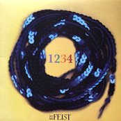 1234 cover