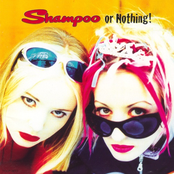 Shampoo Or Nothing cover