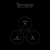 Ternärer