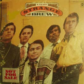 A Very Strange Brew